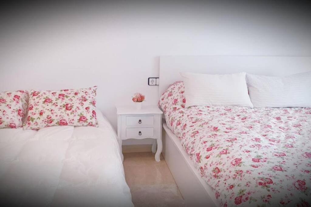 Apartamento Pepa. En El Corazon Del Delta. Sant Jaume d'Enveja Εξωτερικό φωτογραφία